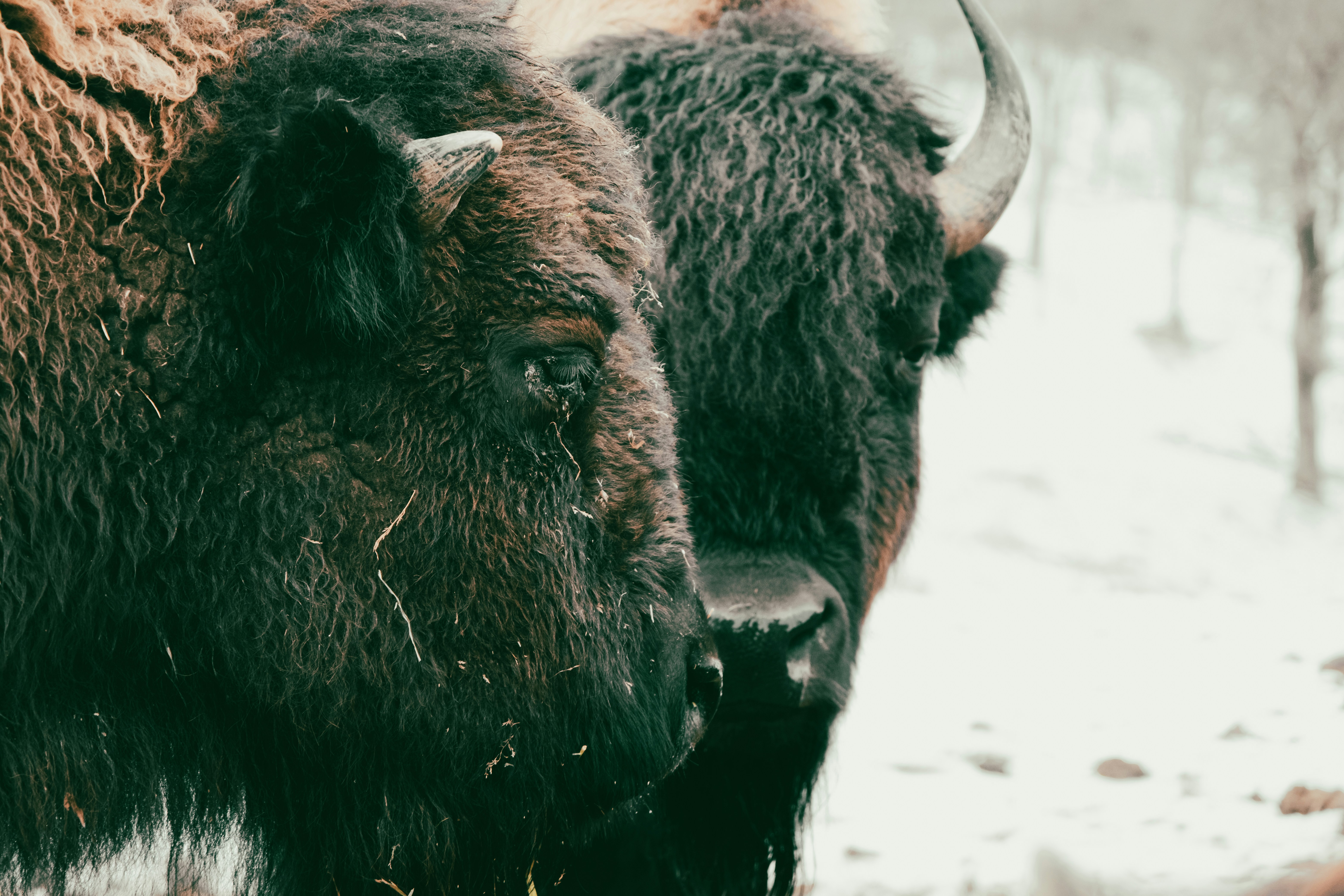 Photo by nellie_adamyan