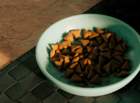 A light blue bowl contains numerous small, triangular pieces of dry pet food, positioned on a textured dark surface with a warm, ambient lighting casting shadows.