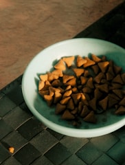 A light blue bowl contains triangular, brown pieces that appear to be pet food or snacks. The bowl is placed on a dark, woven mat, with a minimal piece scattered nearby.