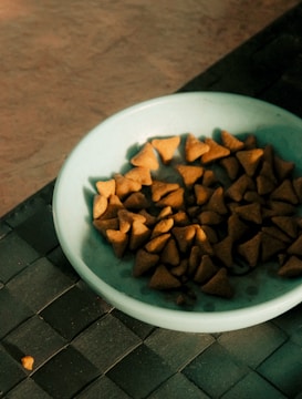 A light blue bowl contains triangular, brown pieces that appear to be pet food or snacks. The bowl is placed on a dark, woven mat, with a minimal piece scattered nearby.
