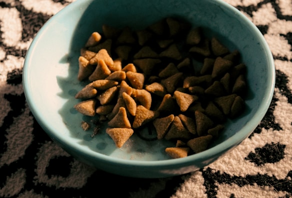 A blue bowl contains numerous small, brown, triangular pieces of pet food, set on a patterned black and white carpet. The lighting casts shadows, adding a warm tone to the scene.