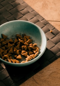 A blue bowl containing pieces of dry pet food is placed on a dark woven mat. The setting appears to be indoors with a tiled floor partially visible.