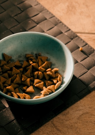 A blue bowl containing pieces of dry pet food is placed on a dark woven mat. The setting appears to be indoors with a tiled floor partially visible.