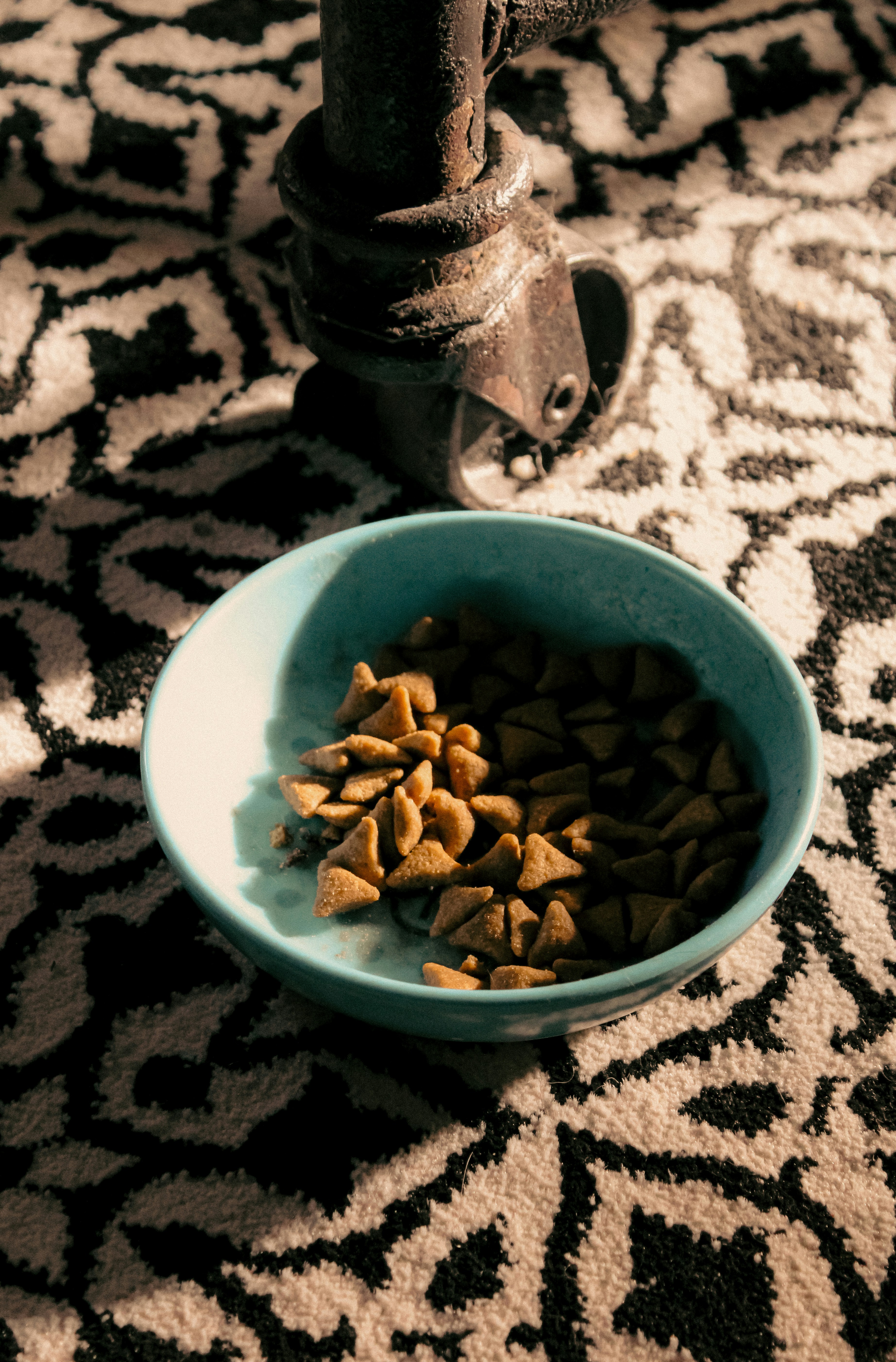 Photo by linusbelanger