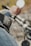 A close-up view of a person wearing a strap with visible branding, holding onto the handlebar of a motorcycle or bicycle. The focus is on the strap with text that seems to say 'One Hundred Percent California.' The background is blurred, suggesting outdoor surroundings.
