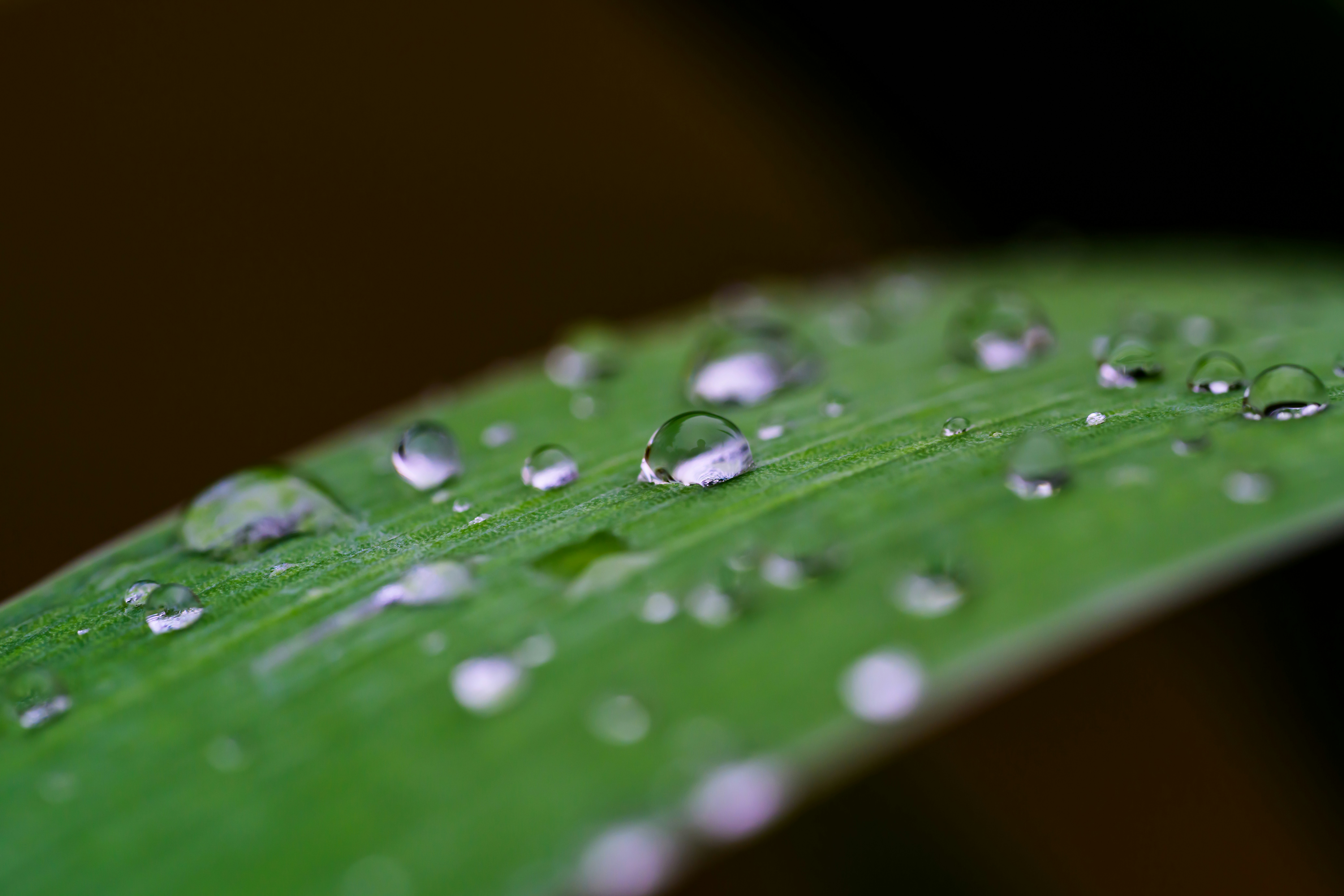 Photo by scottfillmer