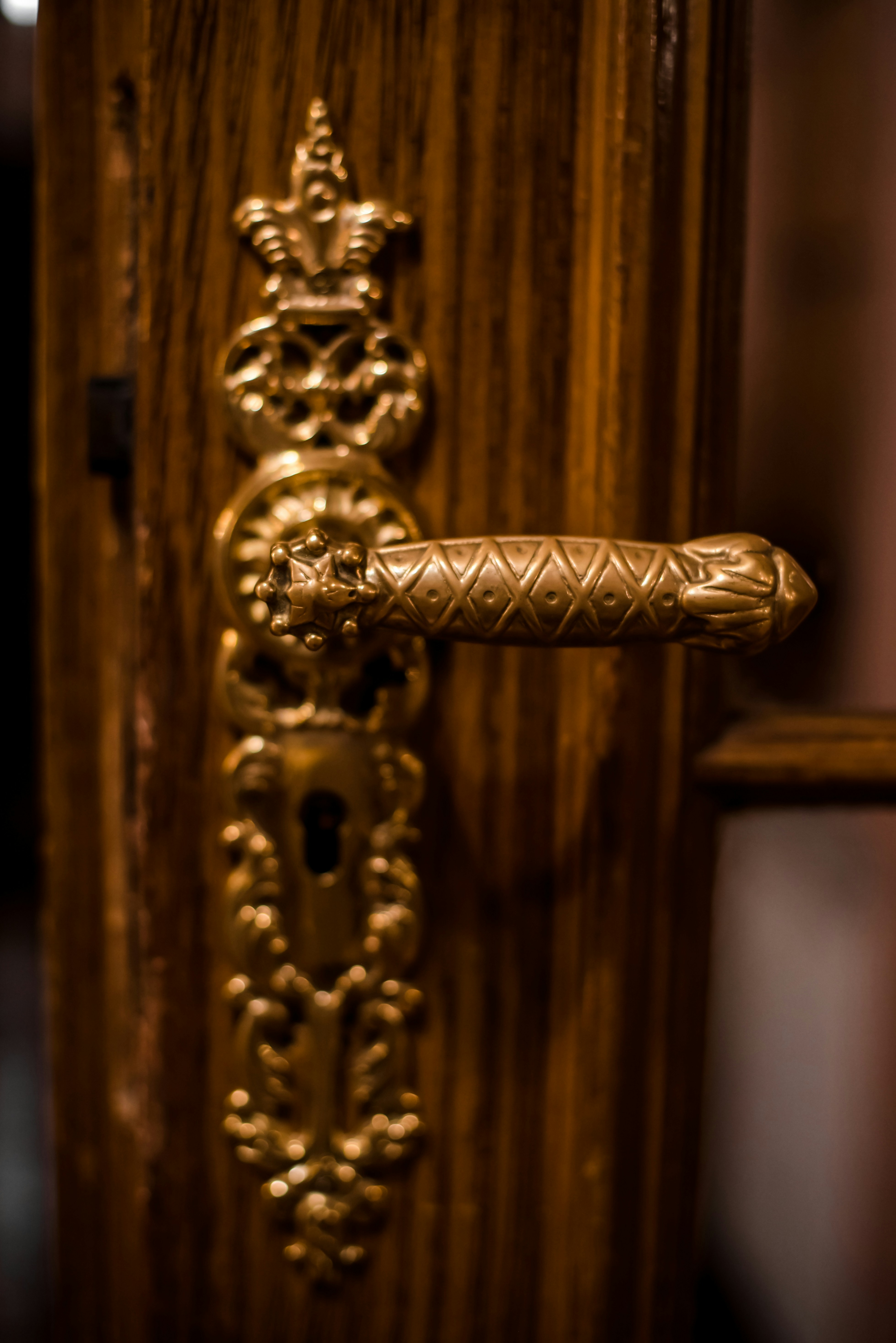 Antique brass door handle on a dark wooden door.