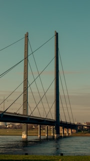 A large suspension bridge spans across a body of water with tall pylons and numerous cables. The sky is clear with a warm light casting shadows on the bridge. There are small figures of people walking on the bridge, and grassy areas with some structures in the background.