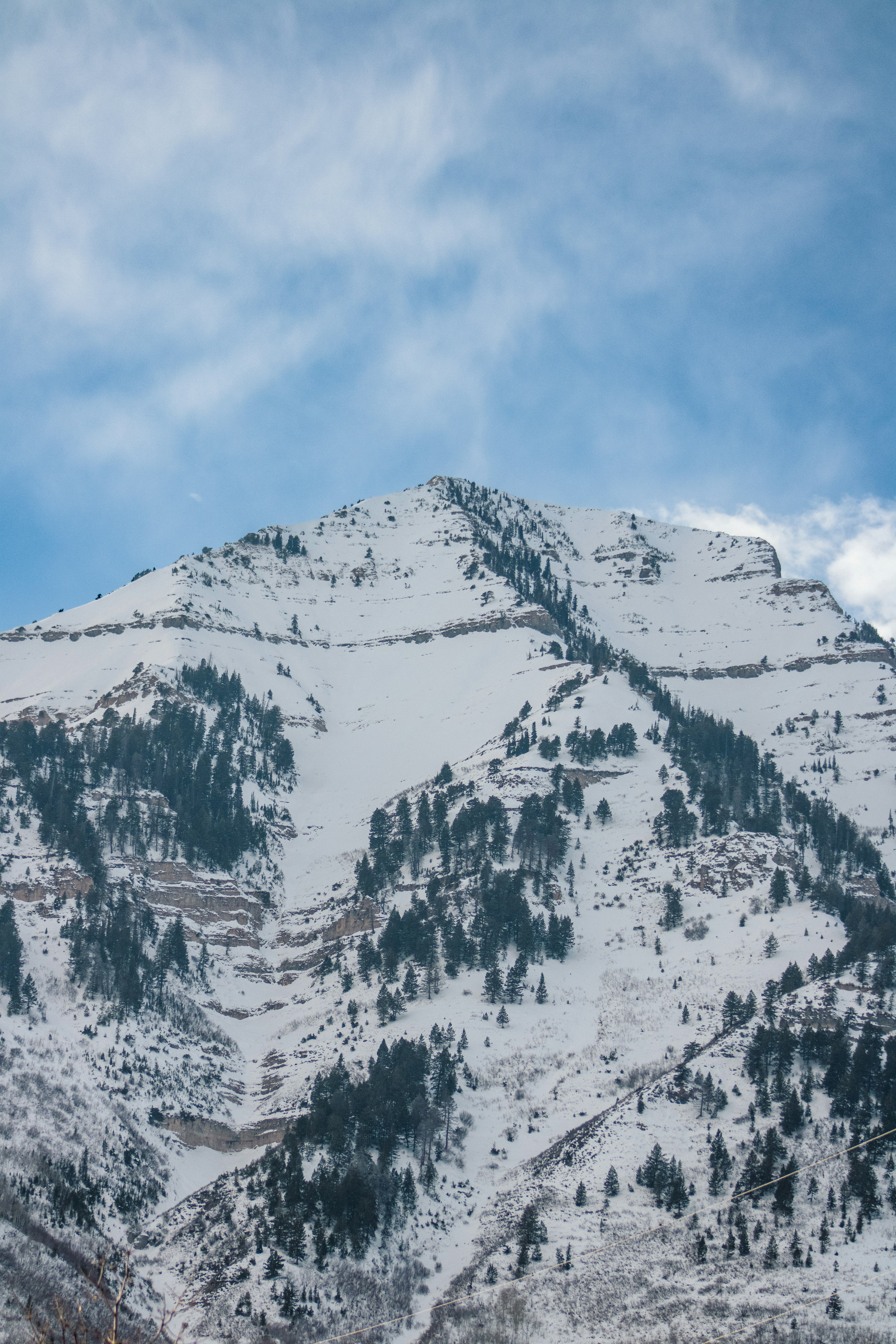 a mountain covered in snow and trees under a blue sky
