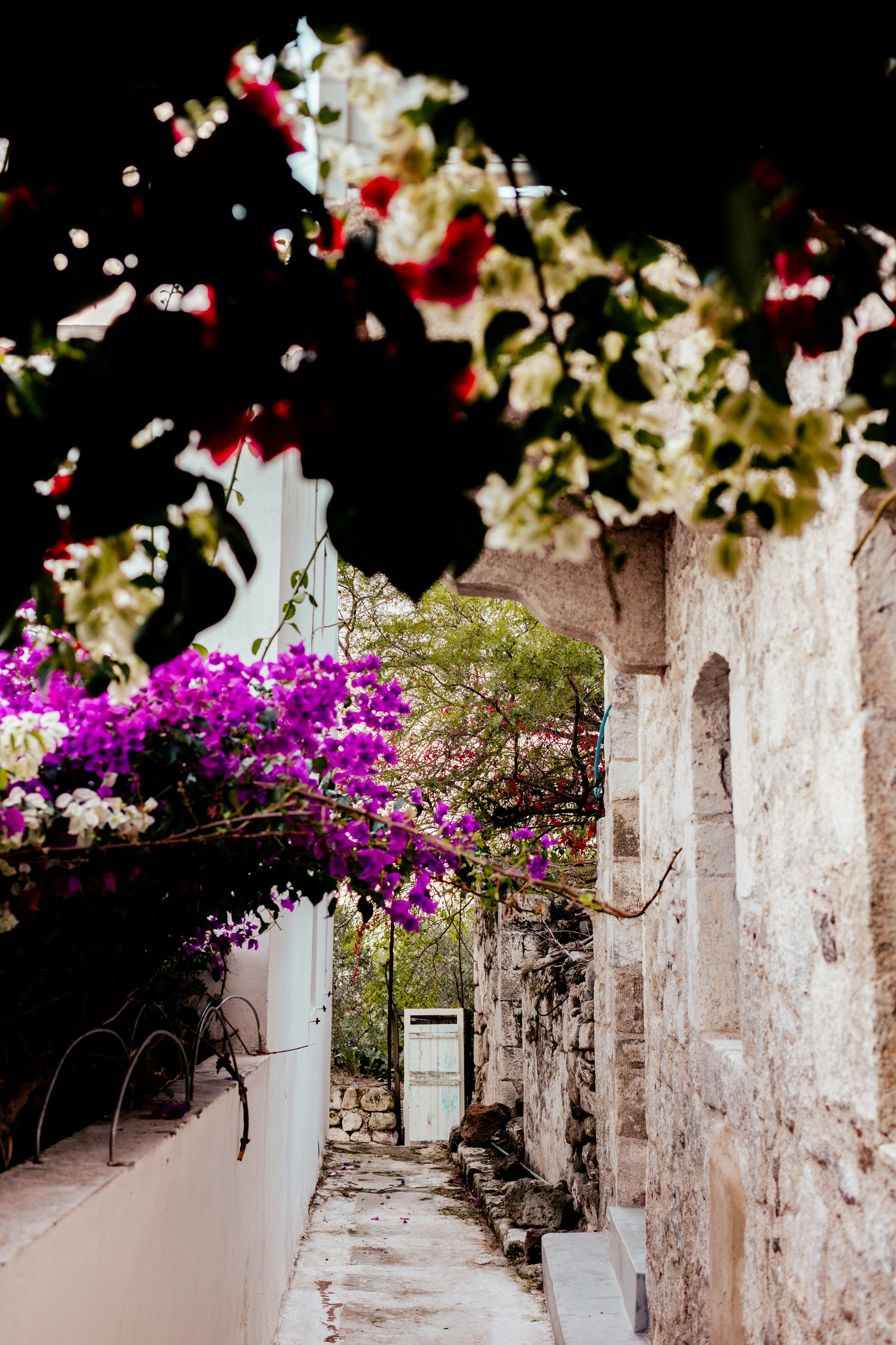 Photo by kirkphotographer