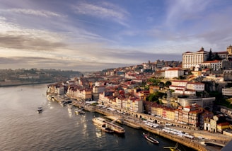 a view of a city on the water