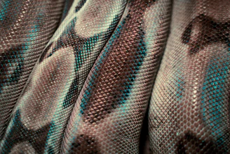 a close up of a snake skin texture