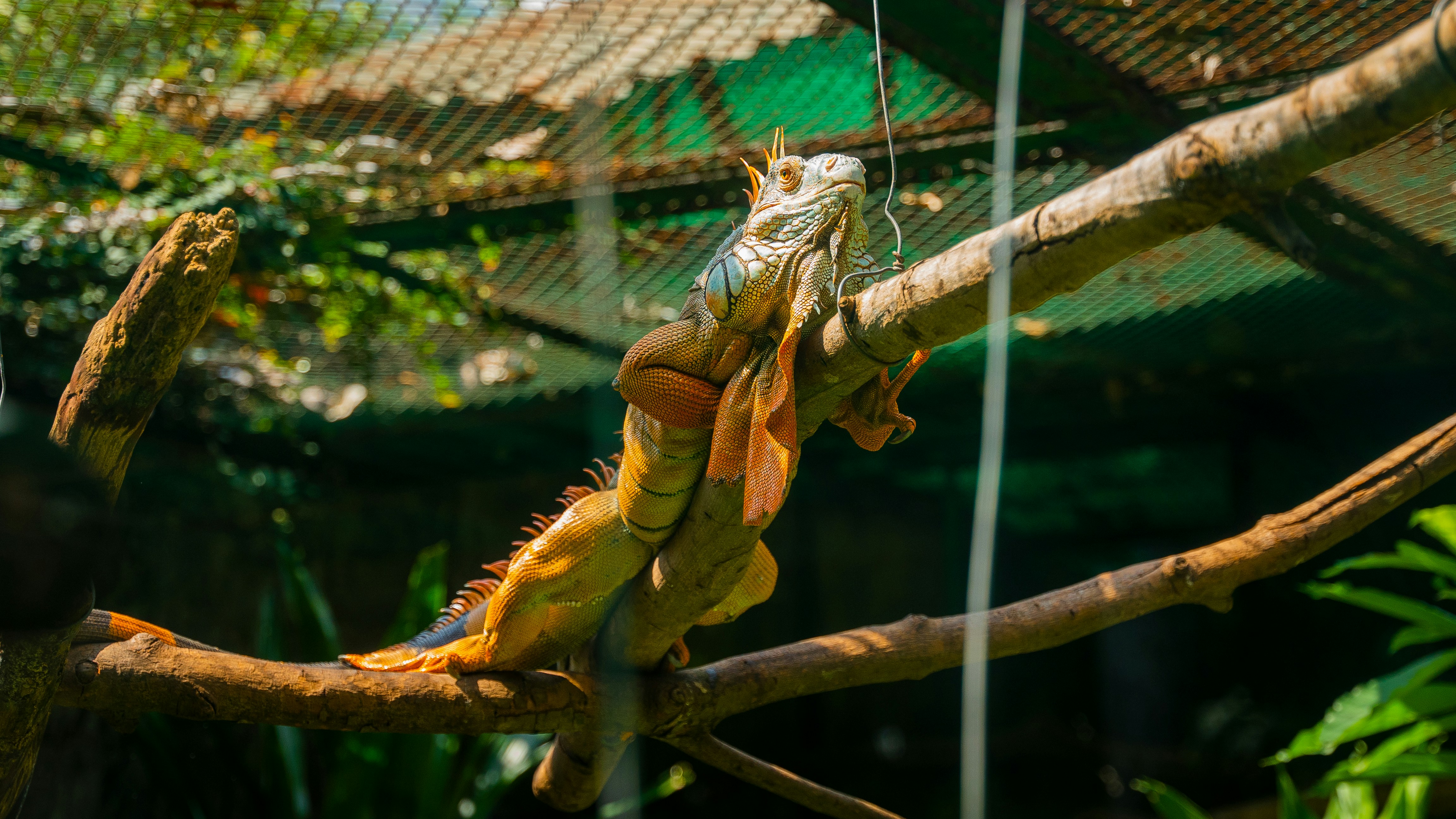 Photo by xt7core