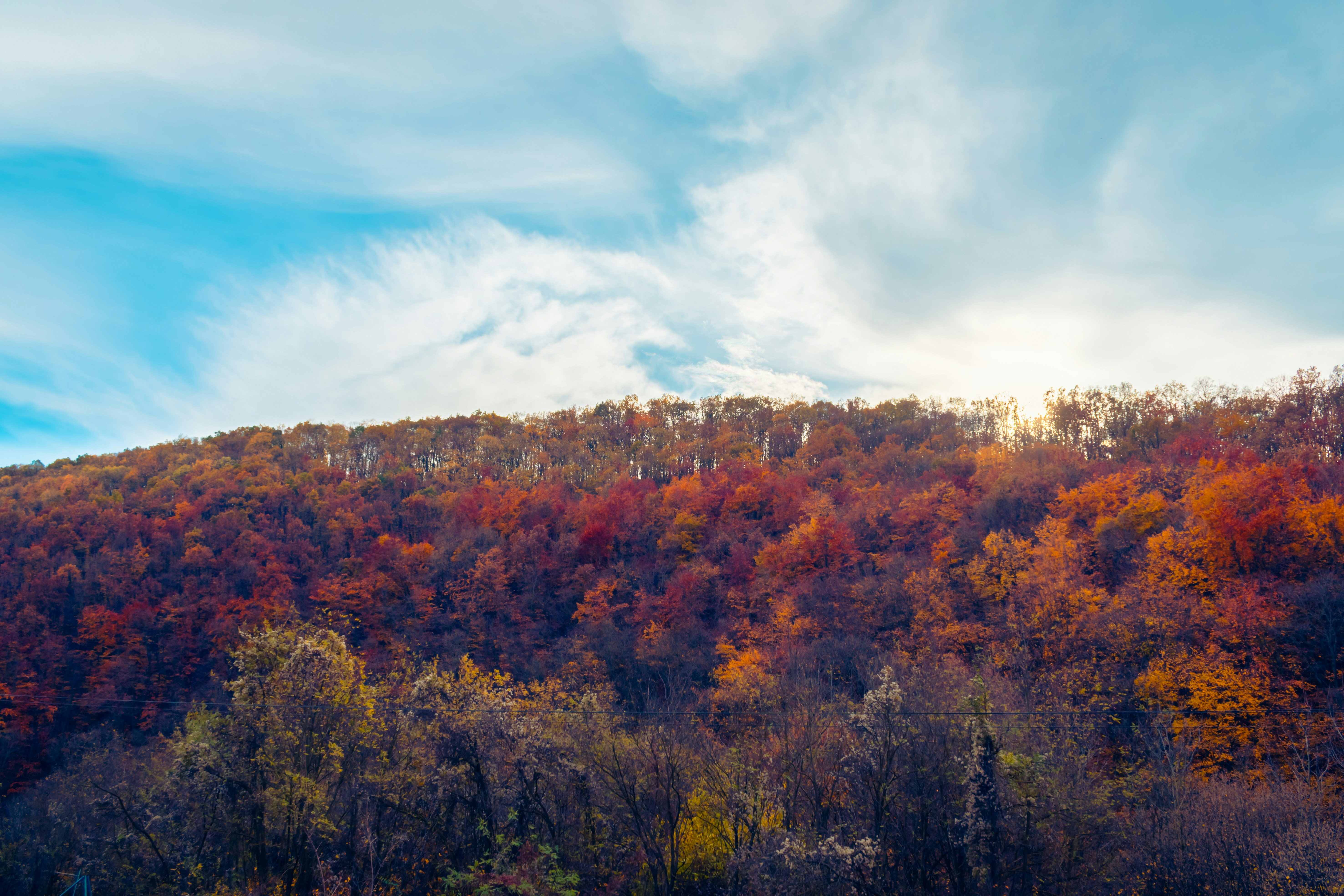 Photo by niki_emmert