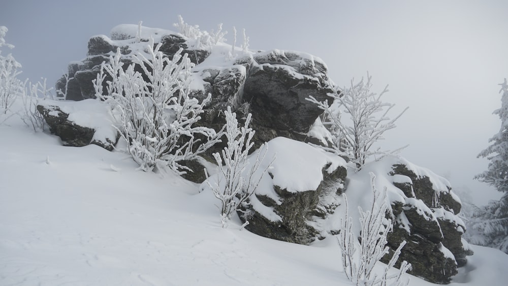 a man riding skis down a snow covered slope