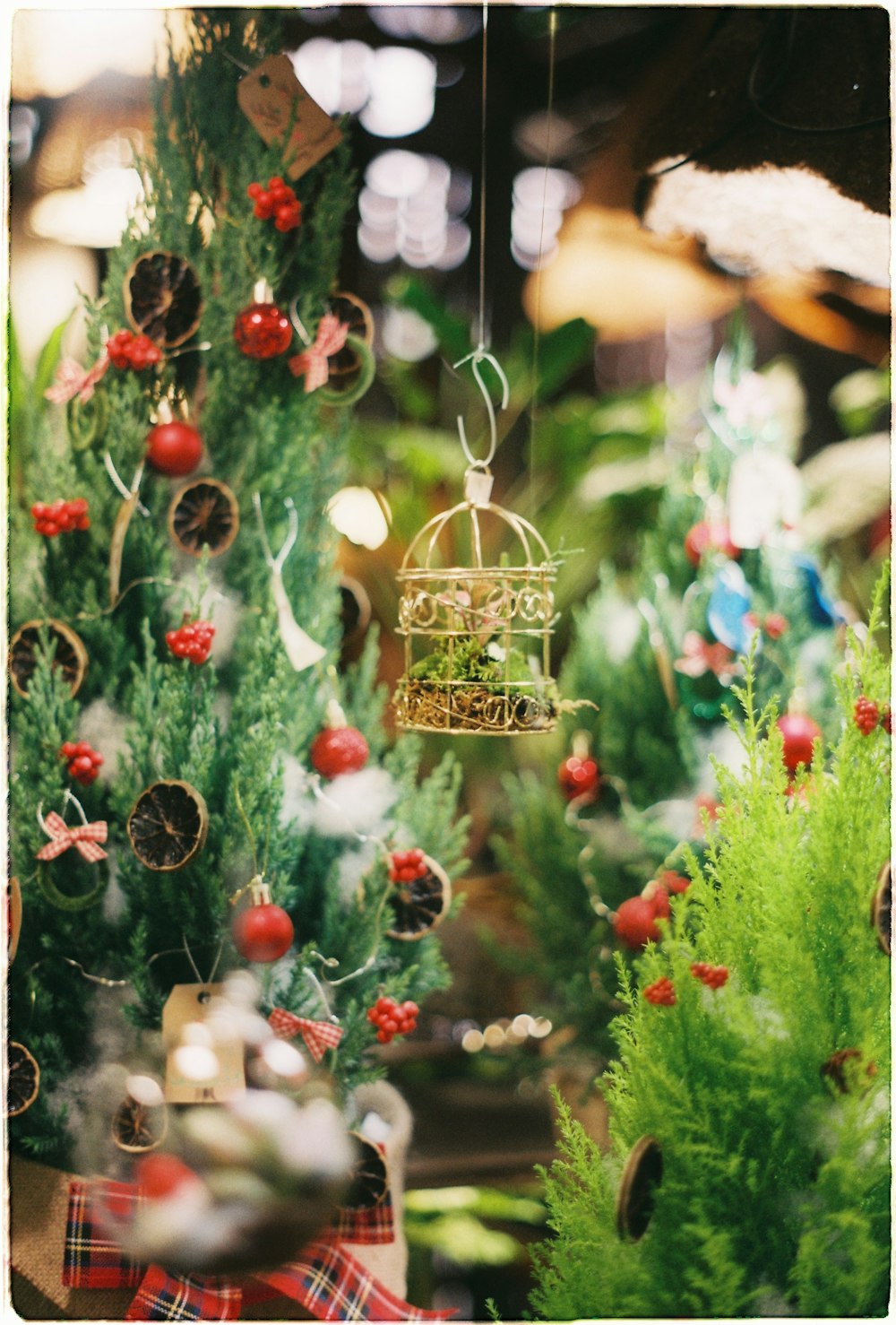 a birdcage hanging from a tree filled with christmas decorations