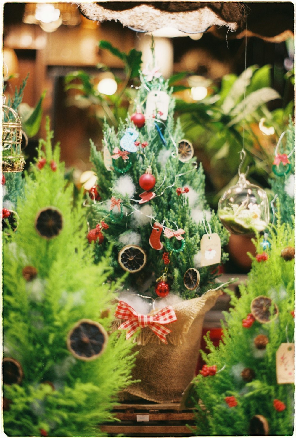 a small christmas tree is in a display case