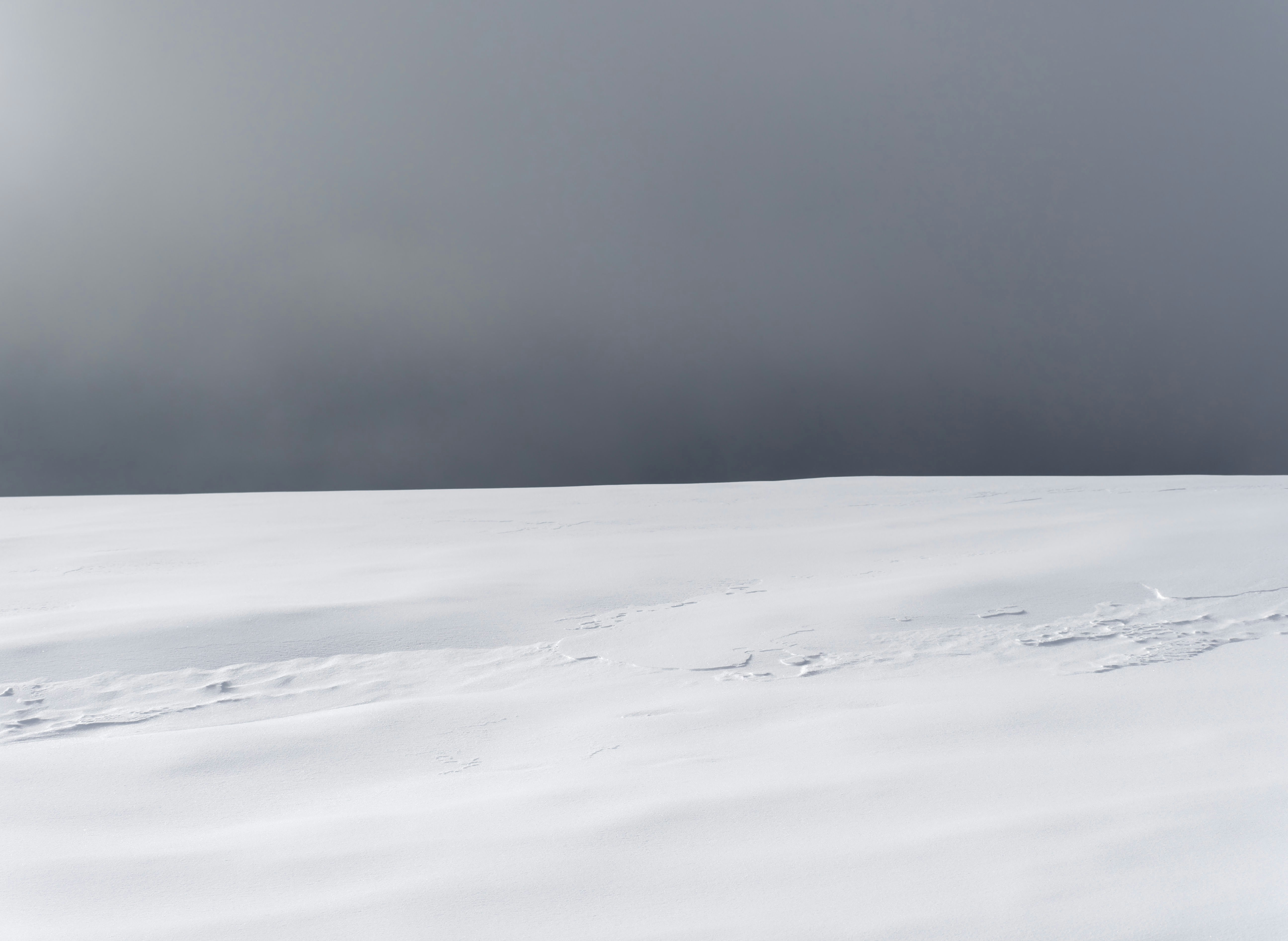 Photo by illes_cristi