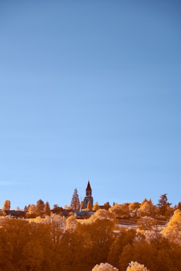 An outdoor view of the church building framed by autumn trees and a clear sky.