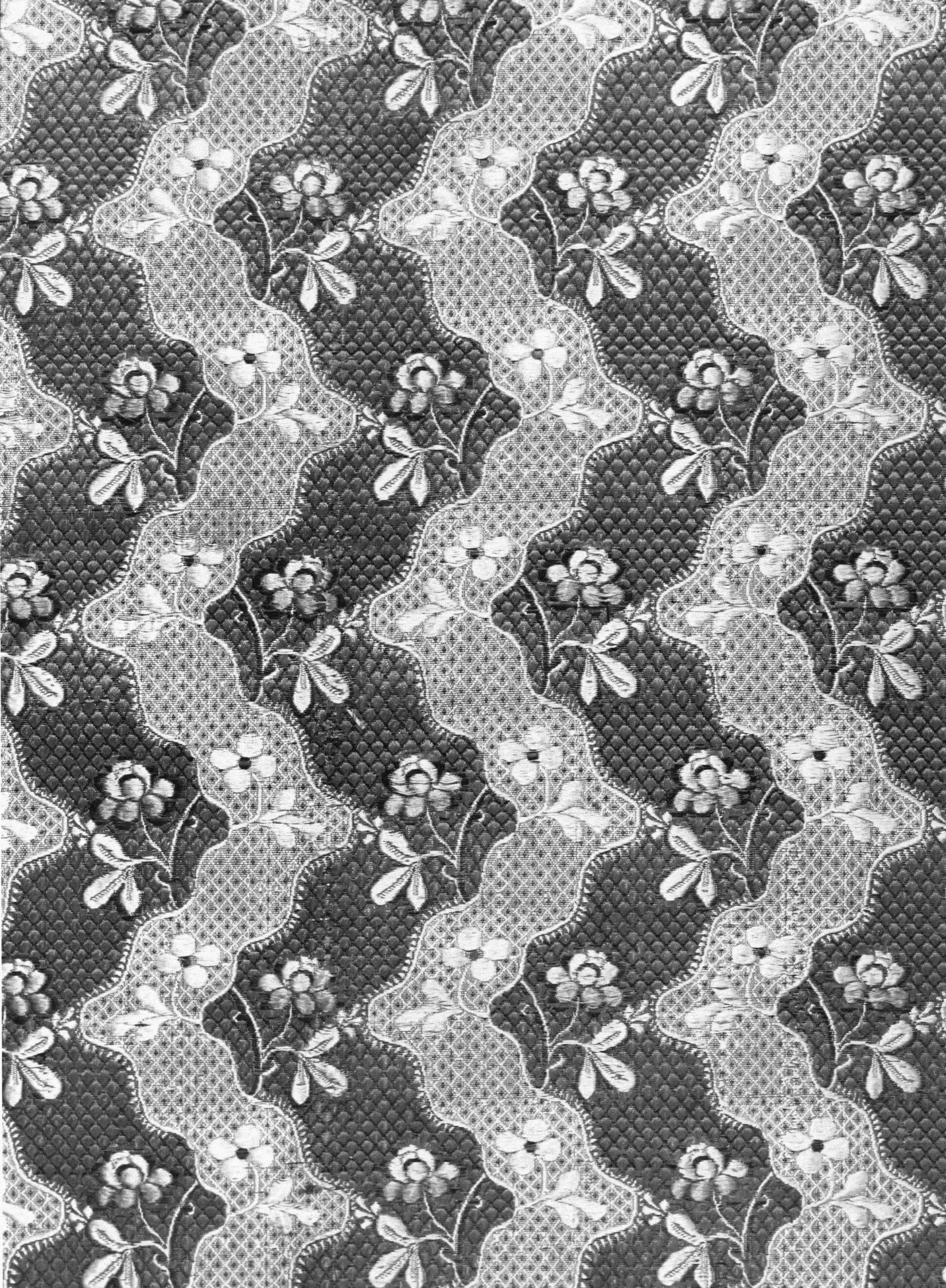 Image 40