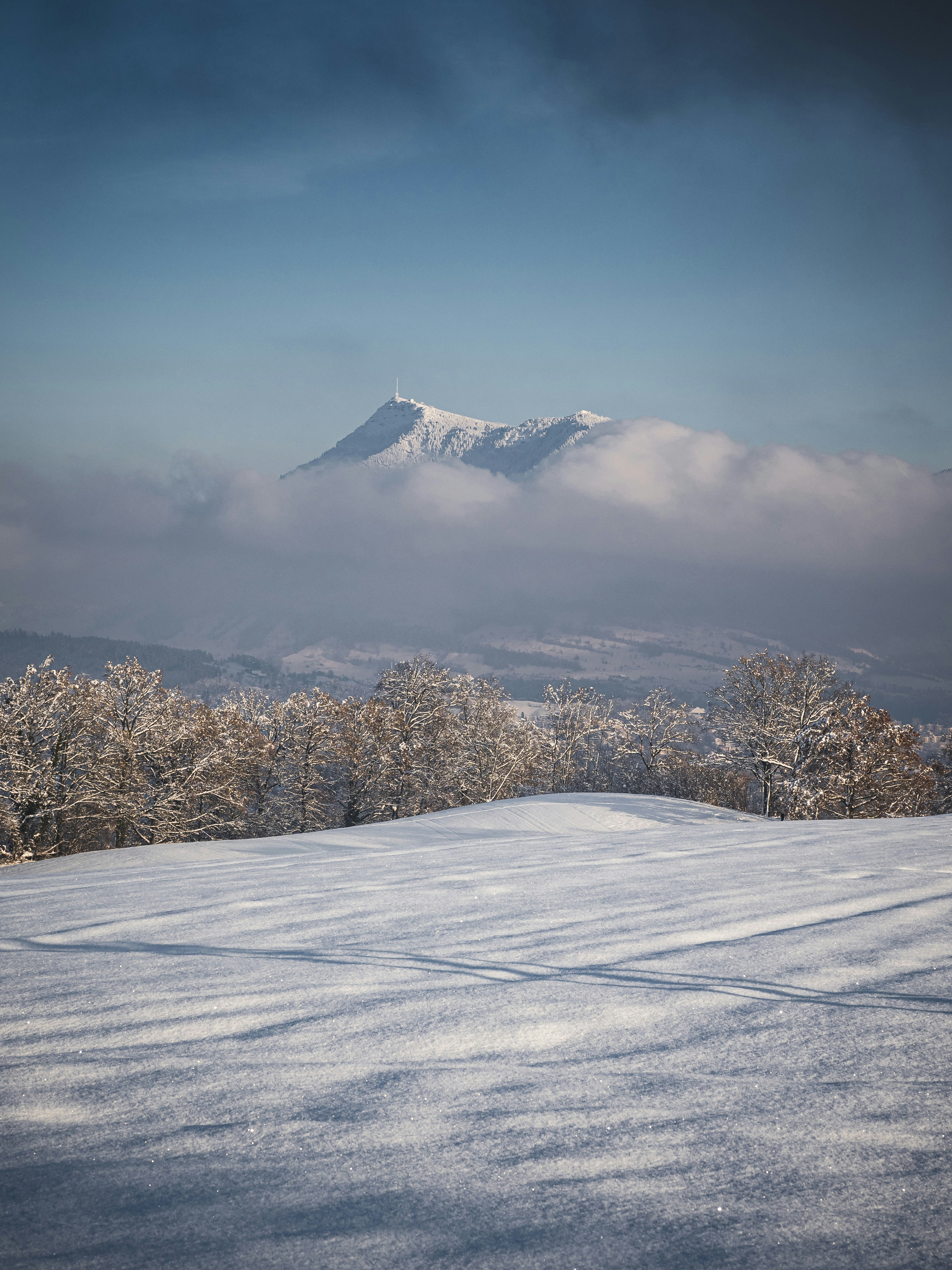 a snow covered field with a mountain in the background