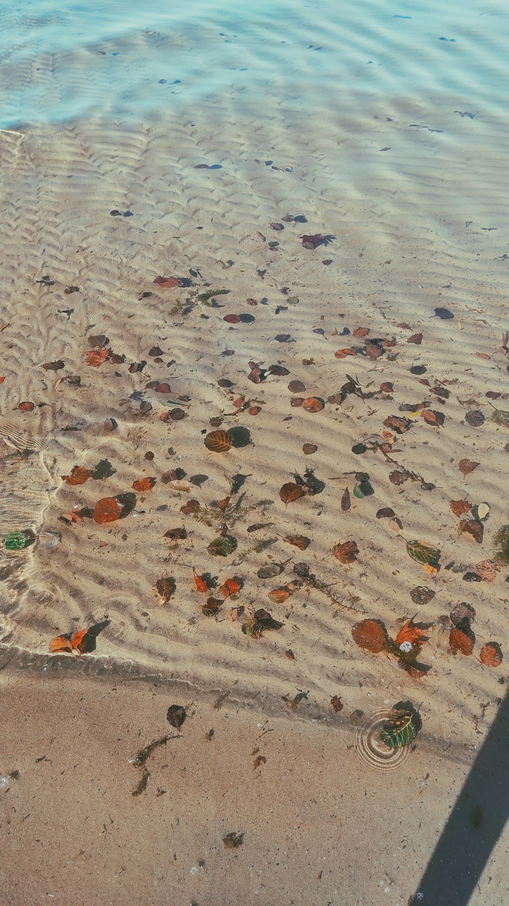 la sombra de una persona de pie en una playa junto a un cuerpo de agua