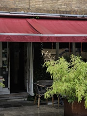 A quaint, rustic storefront features a large red awning with rain droplets visible on its surface. Below the awning, there is a doorway leading into a dimly lit interior. To the right, a large green plant with bushy foliage is potted in a planter, accompanied by a small outdoor table and chairs. The ground appears wet, suggesting recent or ongoing rain.
