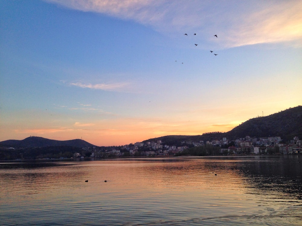 a body of water with birds flying over it