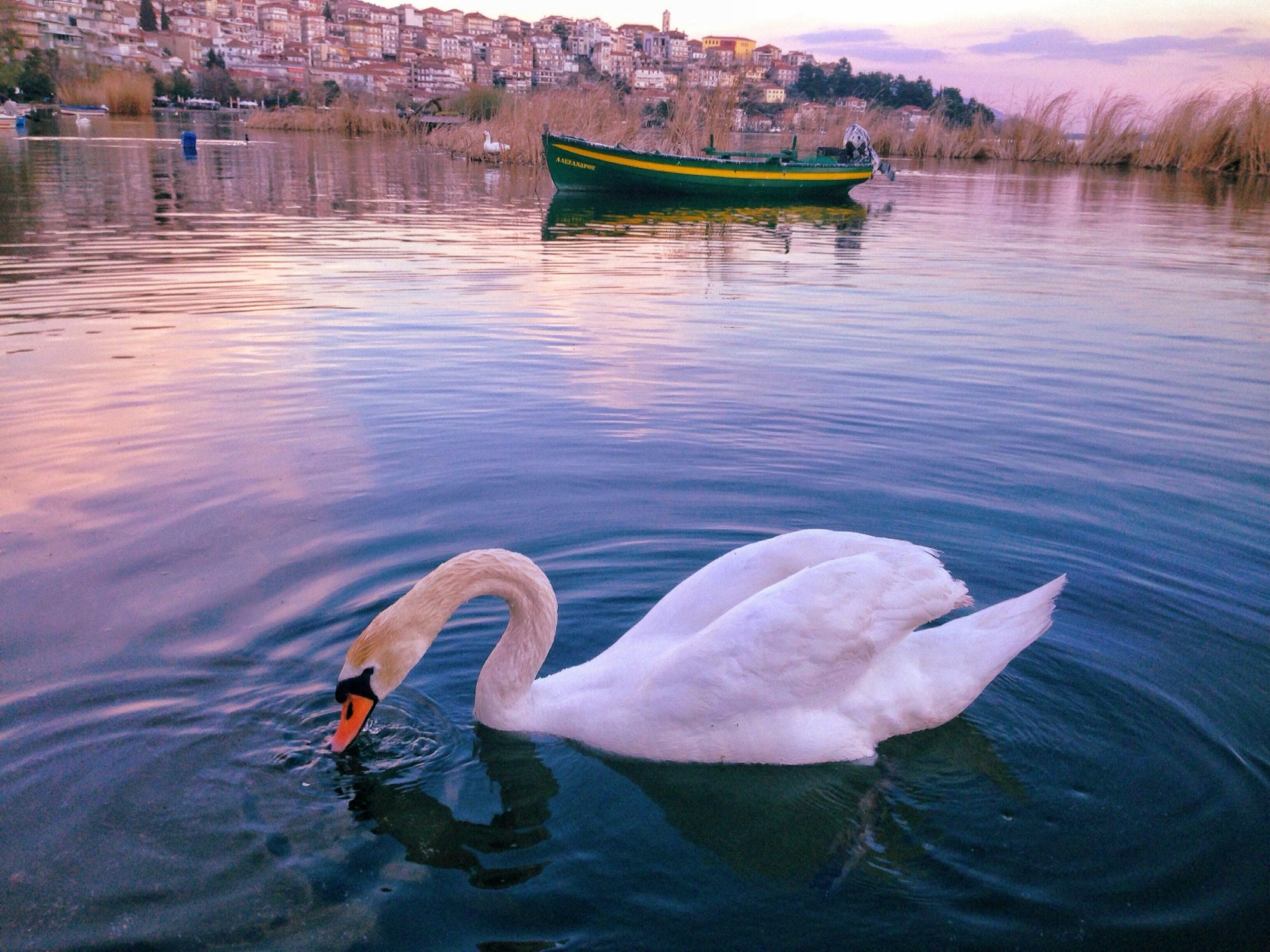 Best Time to Visit Kastoria: Weather & Seasons Guide