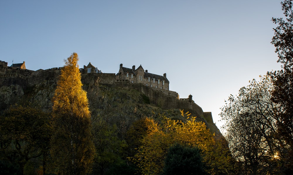 a castle on top of a hill surrounded by trees