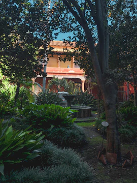 A spacious finca garden featuring native plants and a small water fountain.