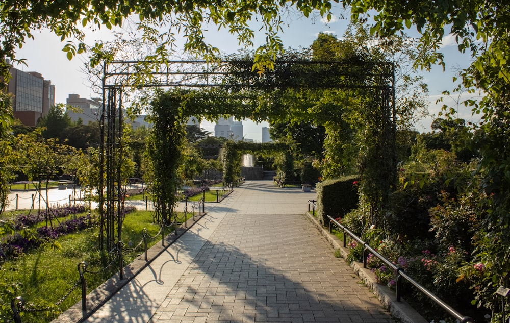 Una pasarela en medio de un parque