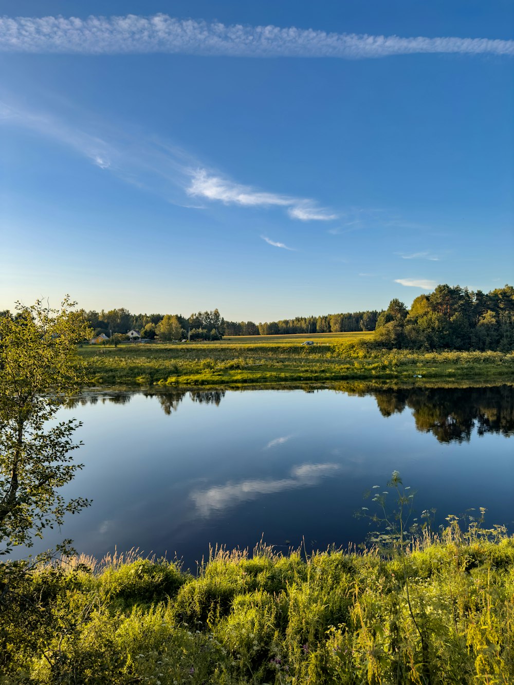 a large body of water surrounded by a lush green field