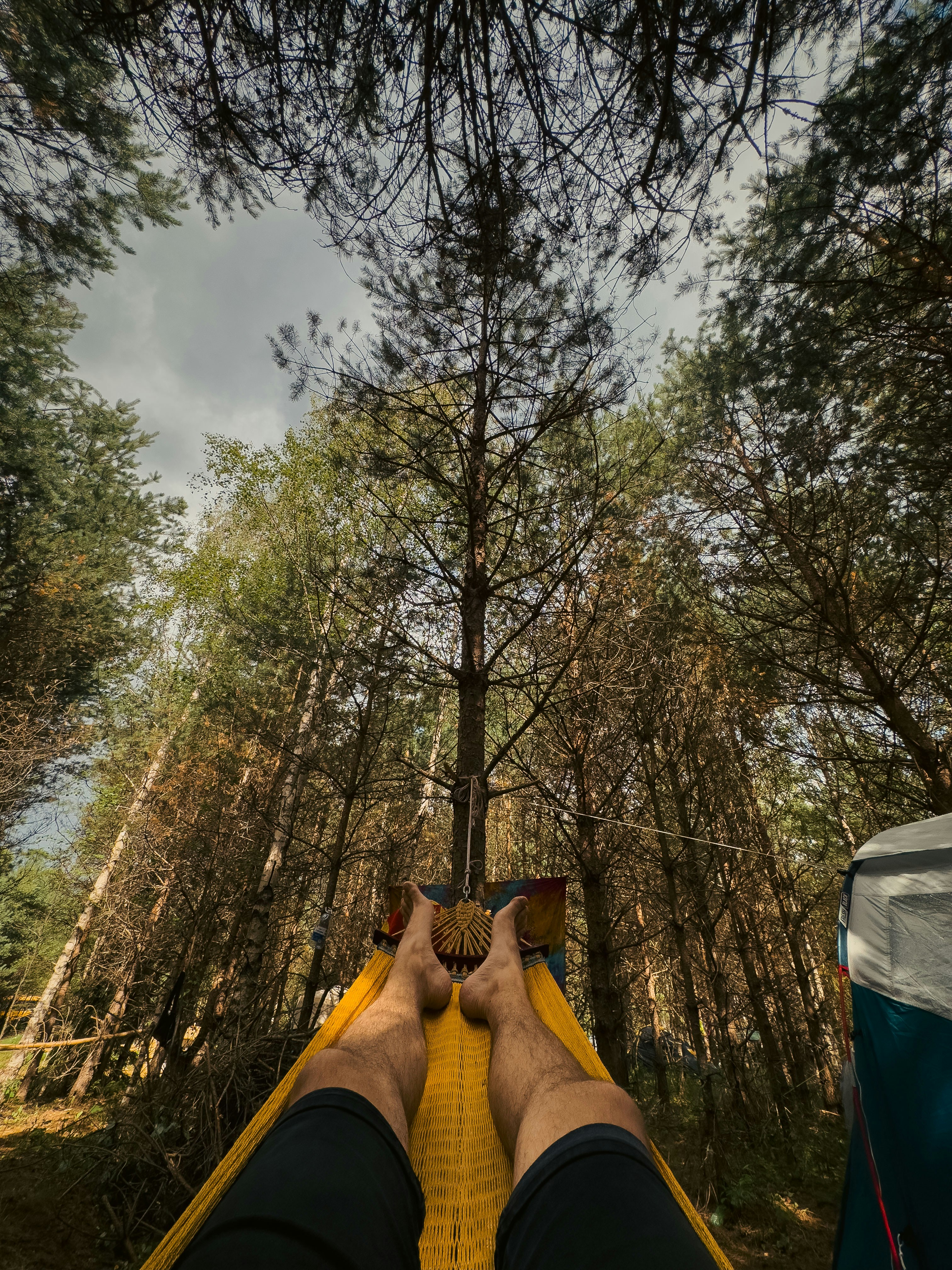 a person laying in a hammock in the woods