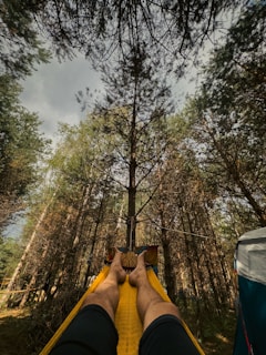 A relaxing scene featuring a person's legs stretched out on a yellow hammock in a forest setting. Tall trees with dense foliage surround the hammock, and the sky is visible between the treetops. The atmosphere is serene and tranquil, providing a sense of solitude and connection with nature.
