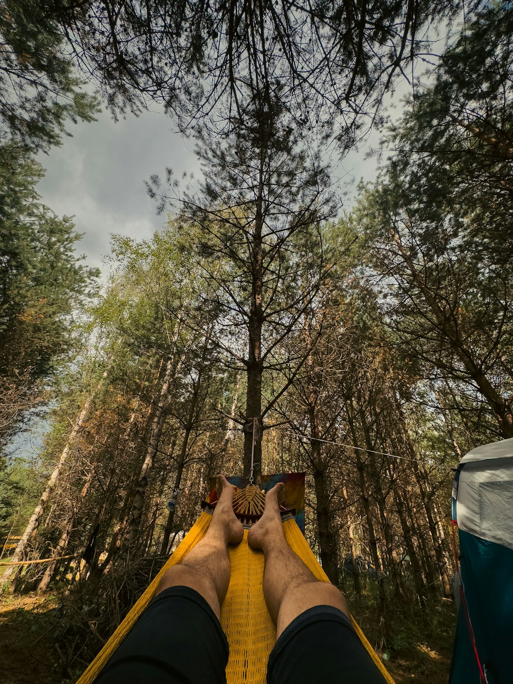 a person laying in a hammock in the woods