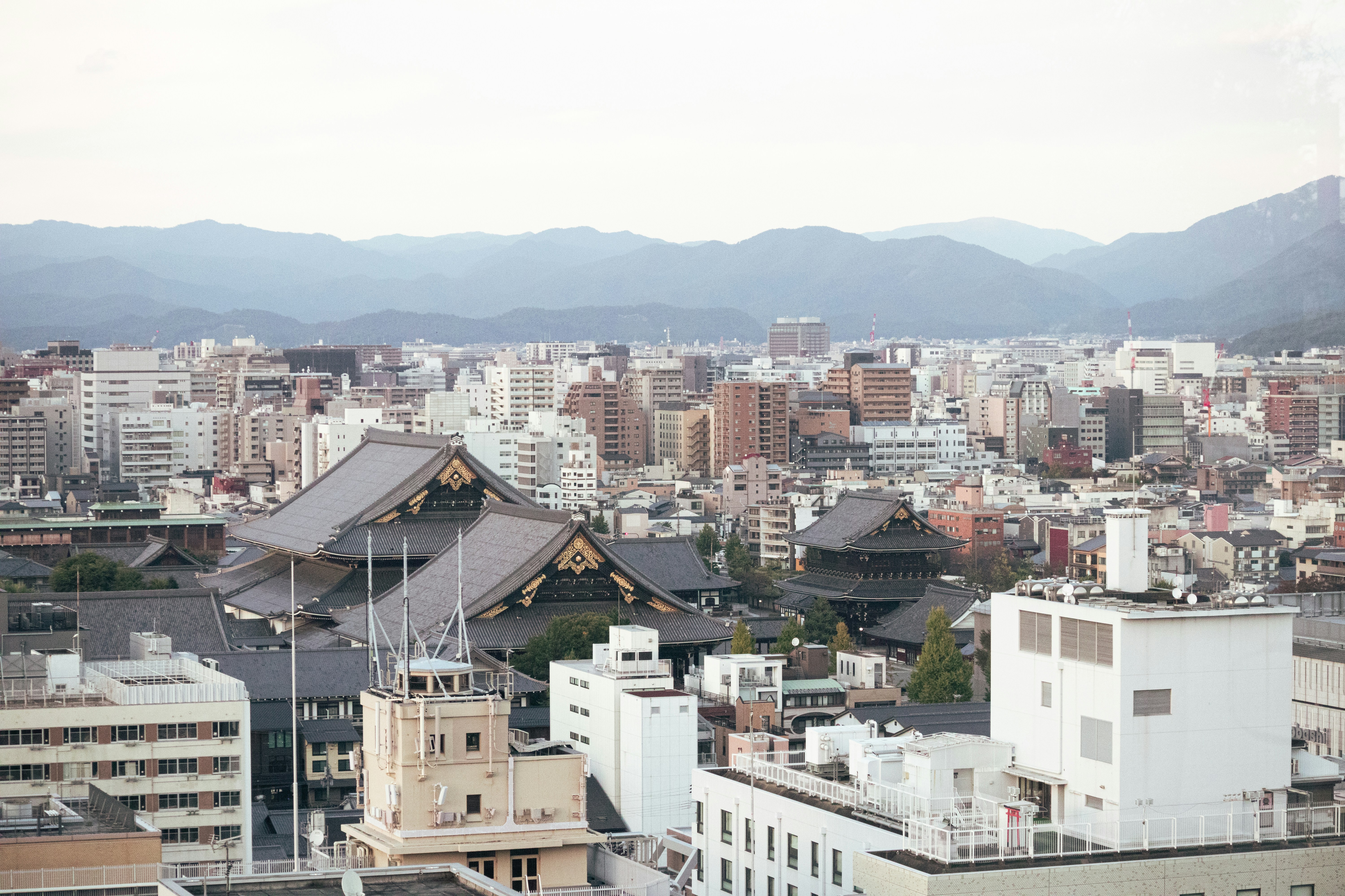 Photo by tuan_p