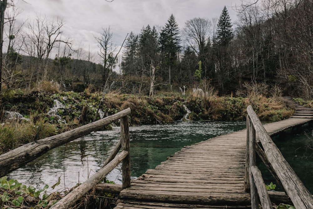 a wooden bridge over a stream in a forest