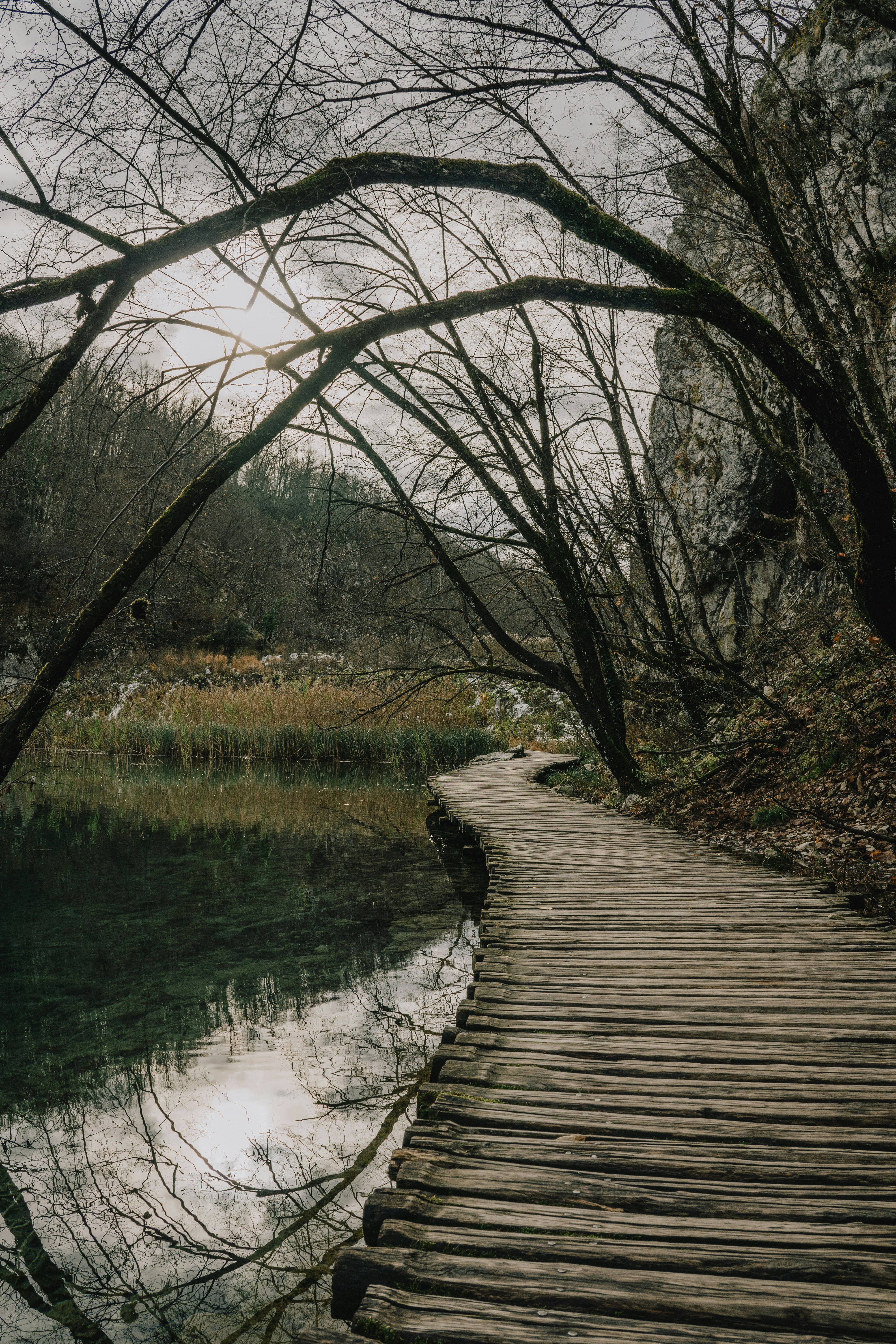 Photo by emmanuelcassar