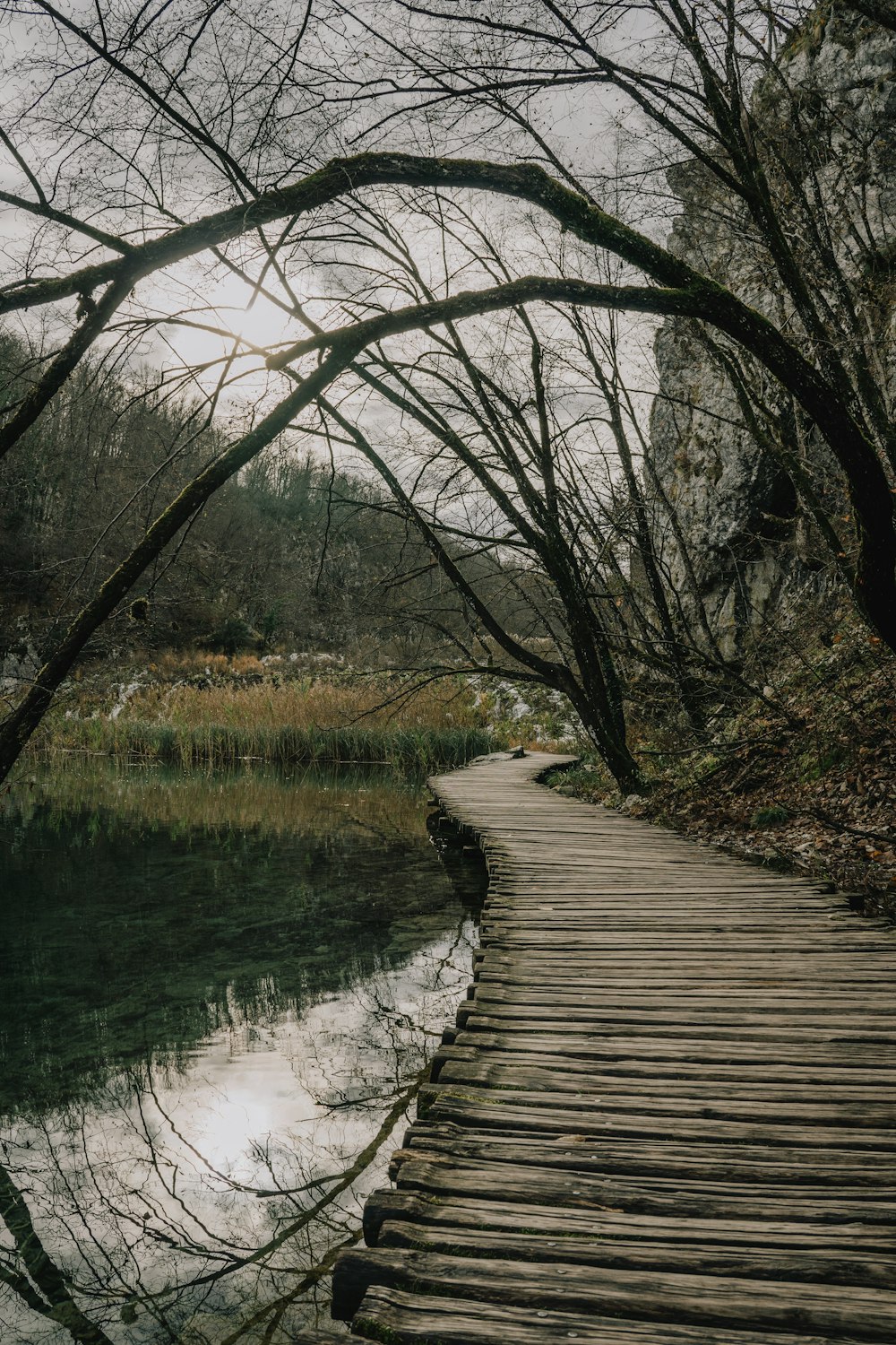 a wooden path that is next to a body of water