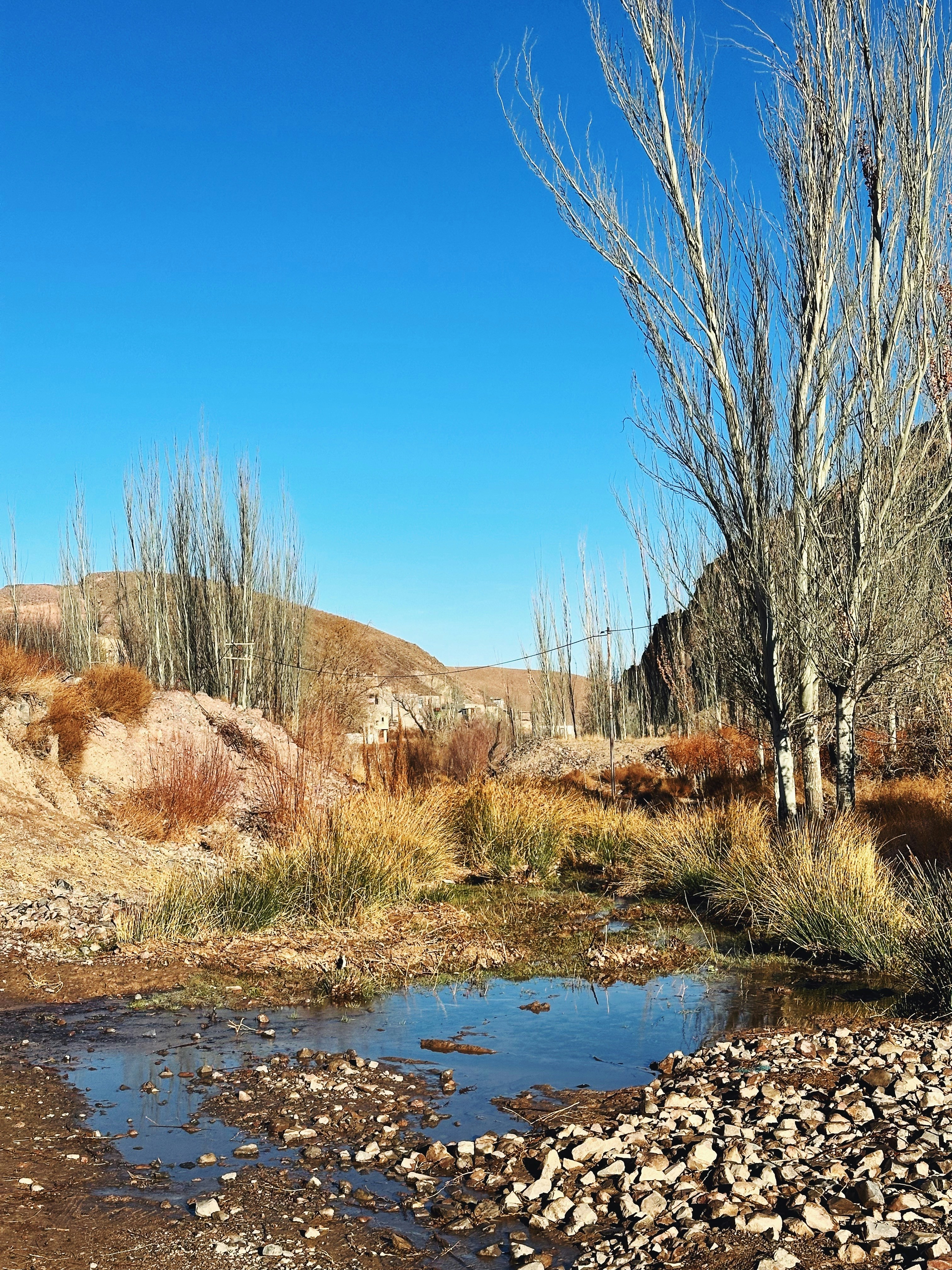 a small stream running through a dry grass field