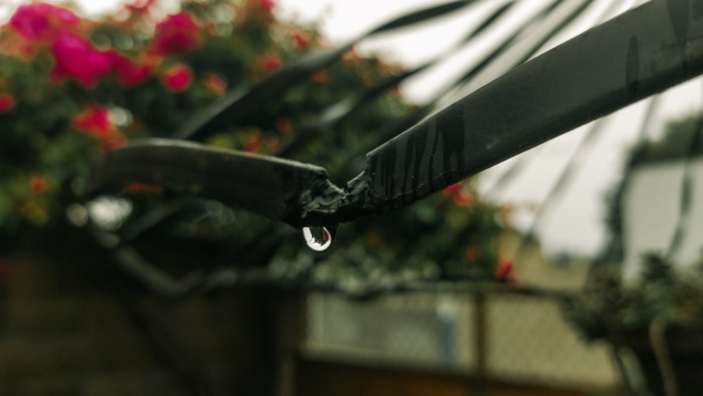 a close up of a metal object with flowers in the background