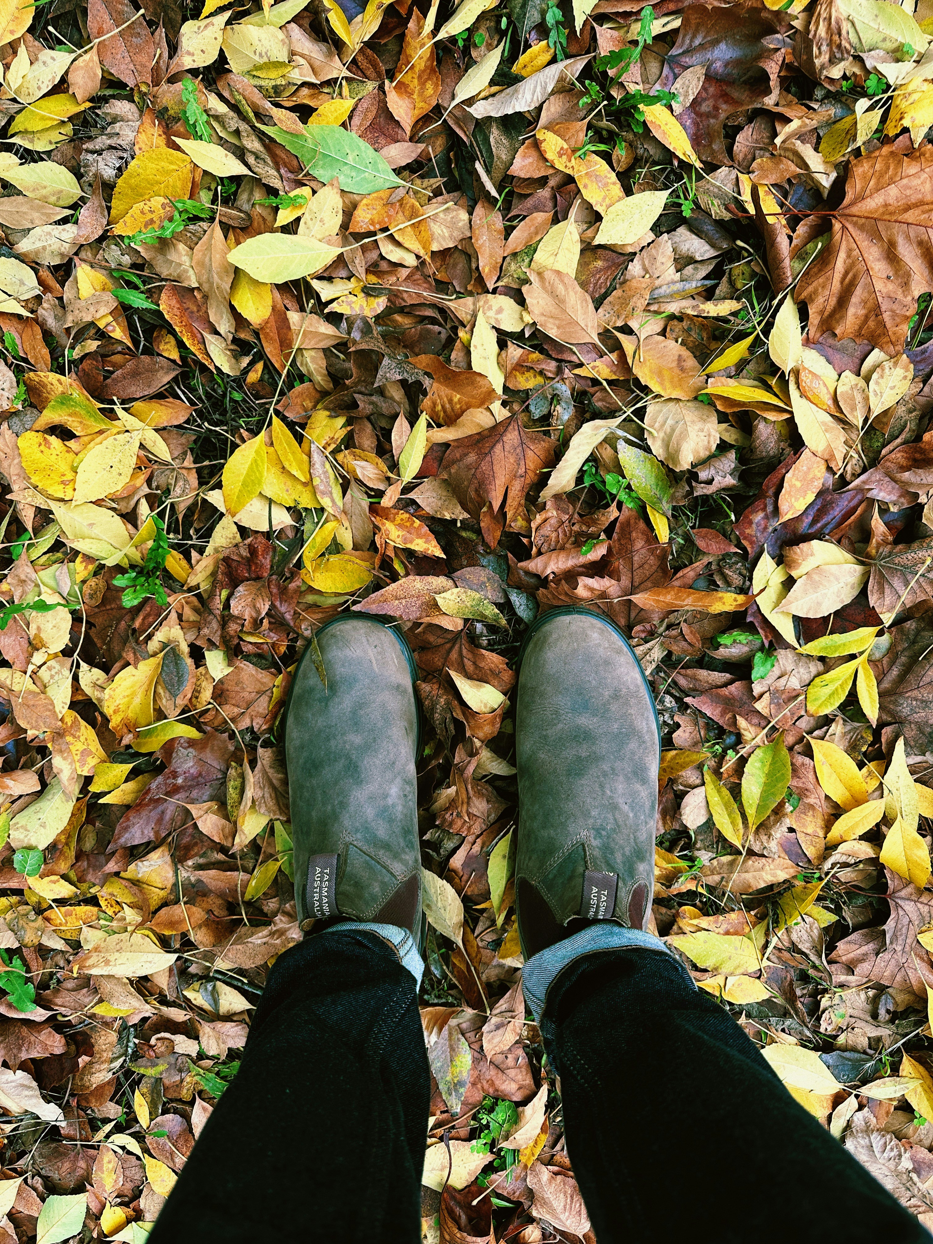 Photo by christopherstites