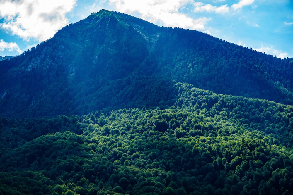 a view of a mountain with trees on it