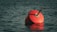 A red buoy floating on the calm surface of the sea, tethered by a rope. The water is a deep greenish-blue and reflects light from the buoy.