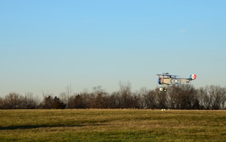 Small vintage airplane flying over fields of wild botanicals.