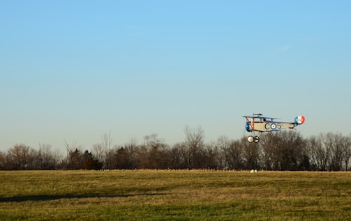 Small vintage airplane flying over fields of wild botanicals.