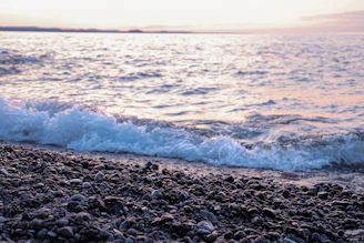 A quiet pebble beach with gentle waves lapping the shore under a pastel morning sky.