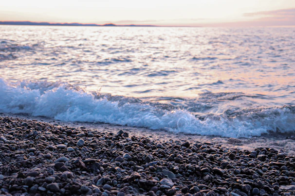 A quiet pebble beach with gentle waves lapping the shore under a pastel morning sky.