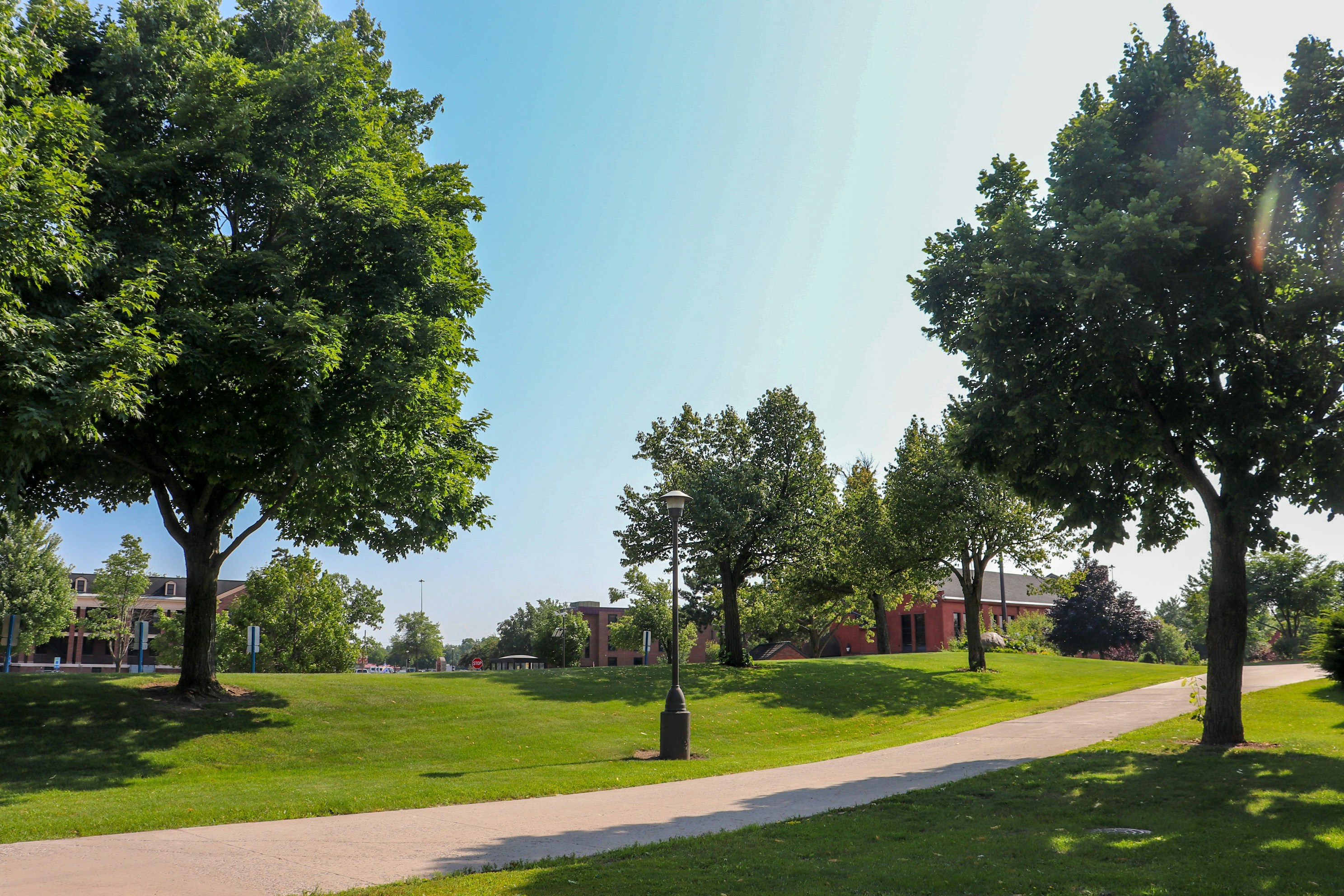 a path in a park with trees and a building in the background